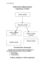 Prakses atskaite 'SIA "Depo DIY"', 2.