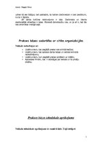 Prakses atskaite 'SIA "Depo DIY"', 4.