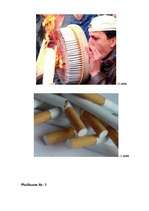 Referāts 'Smēķēšanas kaitīgums', 23.
