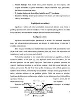 Referāts 'Izgulējumi', 4.