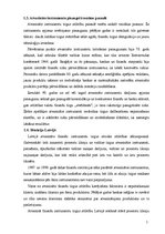 Referāts 'Atvasinātie finanšu instrumenti', 5.
