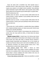 Referāts 'Atvasinātie finanšu instrumenti', 10.