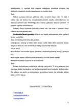 Referāts 'Atvasinātie finanšu instrumenti', 11.