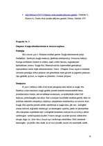 Konspekts 'Kolokvija kļūdu labojums', 16.