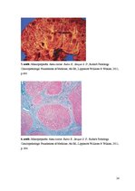 Konspekts 'Kolokvija kļūdu labojums', 24.