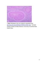 Konspekts 'Kolokvija kļūdu labojums', 25.