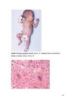 Konspekts 'Kolokvija kļūdu labojums', 26.