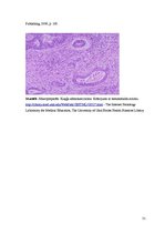 Konspekts 'Kolokvija kļūdu labojums', 31.