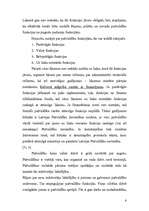 Referāts 'Pašvaldību ekonomiskais pamatojums', 6.