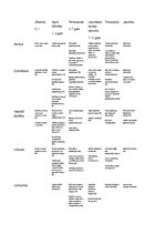 Konspekts 'Vecumposmu raksturojums', 1.