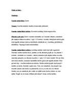 Konspekts 'Sporta stundas analīze', 1.