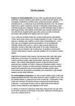 Konspekts 'Kultūras jēdziena izpratne', 2.