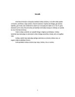 Konspekts 'Ievērojamākās indiāņu kultūras Amerikā', 3.