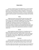 Konspekts 'Ievērojamākās indiāņu kultūras Amerikā', 4.