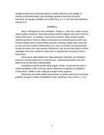 Konspekts 'Ievērojamākās indiāņu kultūras Amerikā', 5.