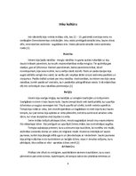 Konspekts 'Ievērojamākās indiāņu kultūras Amerikā', 6.