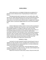 Konspekts 'Ievērojamākās indiāņu kultūras Amerikā', 8.