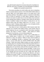 Prakses atskaite 'Biedrība "Stiprinieku republika". Prakses atskaite', 13.