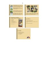 Prakses atskaite 'Biedrība "Stiprinieku republika". Prakses atskaite', 30.