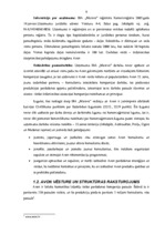 Diplomdarbs 'SIA "Avon Cosmetics" tirdzniecības starpniecības pakalpojuma sniedzēja SIA "Māre', 9.