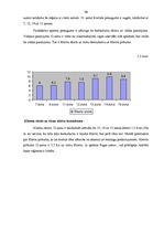 Diplomdarbs 'SIA "Avon Cosmetics" tirdzniecības starpniecības pakalpojuma sniedzēja SIA "Māre', 20.