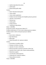 Diplomdarbs 'SIA "Avon Cosmetics" tirdzniecības starpniecības pakalpojuma sniedzēja SIA "Māre', 48.