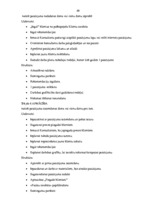 Diplomdarbs 'SIA "Avon Cosmetics" tirdzniecības starpniecības pakalpojuma sniedzēja SIA "Māre', 49.