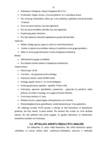 Diplomdarbs 'SIA "Avon Cosmetics" tirdzniecības starpniecības pakalpojuma sniedzēja SIA "Māre', 52.