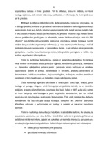 Diplomdarbs 'SIA "Avon Cosmetics" tirdzniecības starpniecības pakalpojuma sniedzēja SIA "Māre', 72.