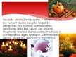 Prezentācija 'Ziemassvētki', 3.