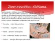 Prezentācija 'Ziemassvētki', 10.