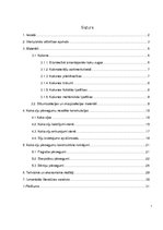 Referāts 'Koka siju pārsegumi', 2.