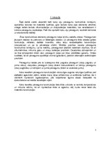 Referāts 'Koka siju pārsegumi', 3.