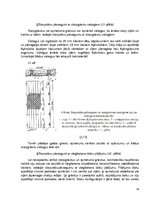 Referāts 'Koka siju pārsegumi', 25.