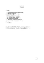 Referāts 'Pašvaldību raksturojums', 2.