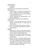 Konspekts 'Plānošana', 4.