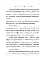 Diplomdarbs 'Konkurētspējas paaugstināšanas veidi uzņēmumā', 30.