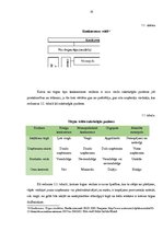 Diplomdarbs 'Uzņēmuma konkurētspējas uzlabošanas iespējas', 15.