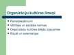 Referāts '"N" uzņēmuma kultūras analīze', 5.
