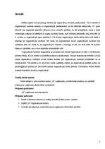 Referāts '"N" uzņēmuma kultūras analīze', 20.