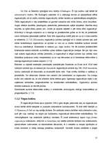 Referāts '"N" uzņēmuma kultūras analīze', 27.