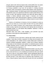 Referāts '"N" uzņēmuma kultūras analīze', 28.