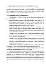 Referāts '"N" uzņēmuma kultūras analīze', 31.