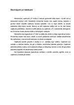 Referāts '"N" uzņēmuma kultūras analīze', 40.