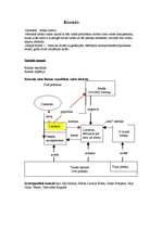 Konspekts 'Terminu skaidrojumi', 3.