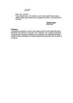 Konspekts 'Terminu skaidrojumi', 4.