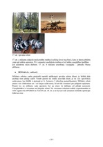 Referāts 'Robotika un automatizācija', 10.