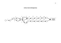 Paraugs 'Kempinga "Ķeguma kempings" remonta projekts komandas veidošanā', 16.