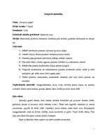 Paraugs 'Integrētā nodarbība', 1.