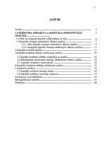 Diplomdarbs 'Uzņēmuma kapitāla struktūras analīze', 2.